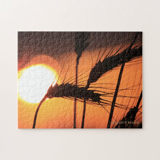 Kansas Wheat Sunset PUZZZLE Pussel (Horisontell)