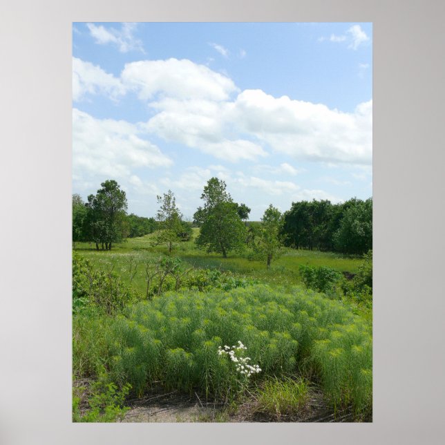 Kansas Wildblommor och Meadows Poster (Framsidan)