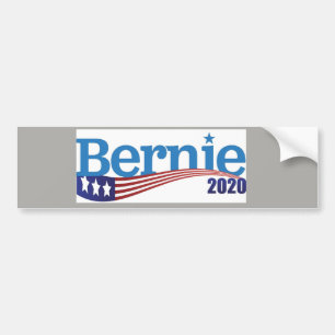 Känselförnimmelse 2020 för Bernie Bildekal