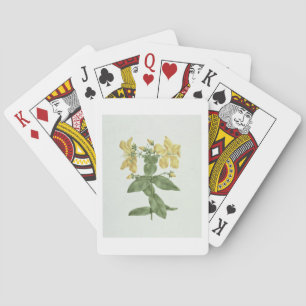 Känselförnimmelse-Fetch (Hypericumquartinianum) Casinokort