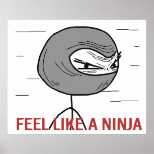 Känselförnimmelsenågot liknande en Ninja Poster