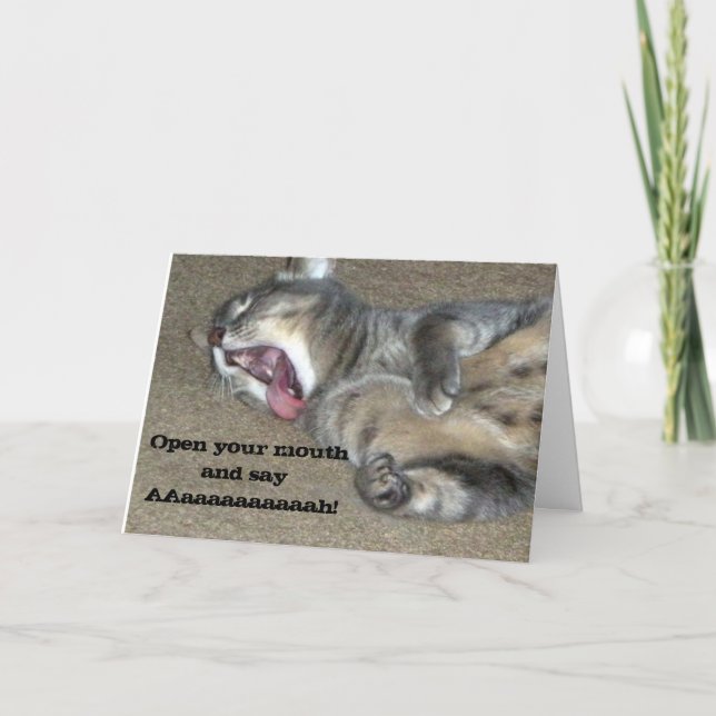 Känselförnimmelser förbättrar snart kattungen kort (Framsida)