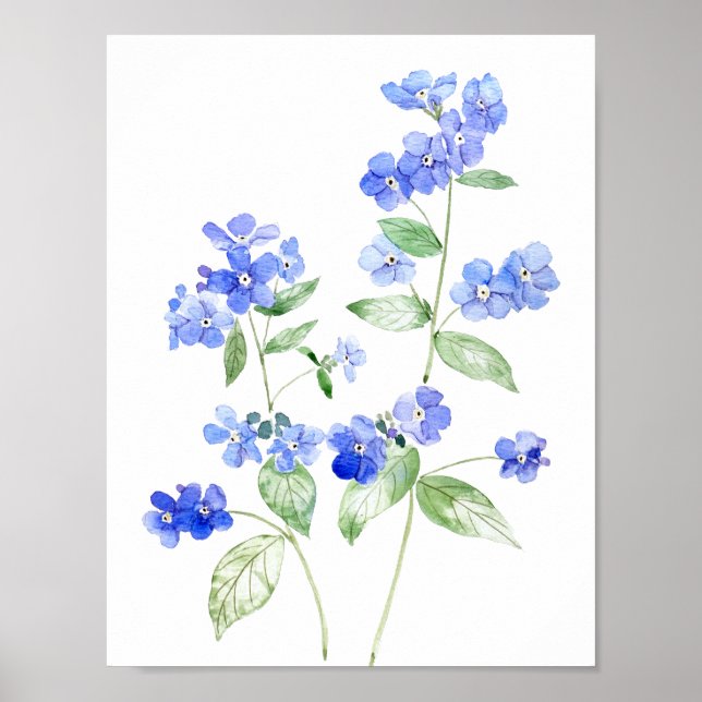 känslig blå Brunnera-blomma Poster (Framsidan)