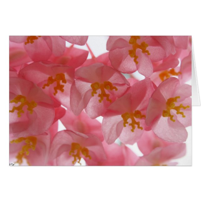 känslig hälsningskort (Framsidan Horizontal)