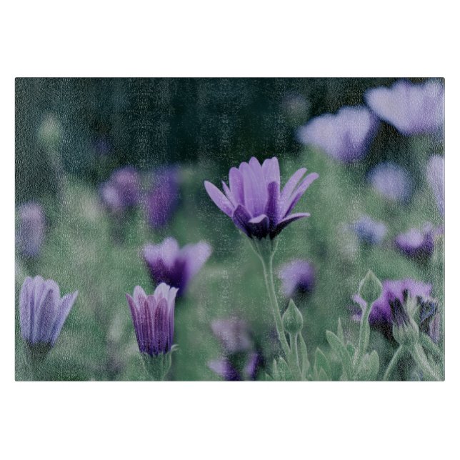 känslig Lila blommor (Framsidan)