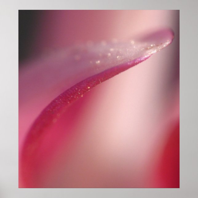 känslig poster (Framsidan)