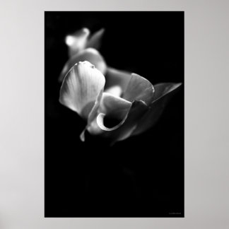 känslig poster