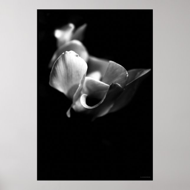 känslig poster (Framsidan)