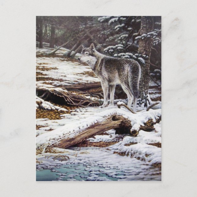 Kant av nattvykort vykort (Framsida)