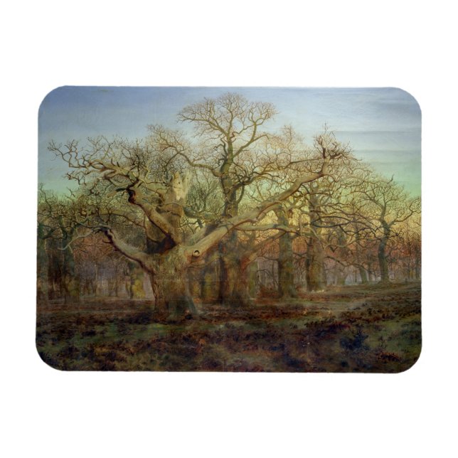 Kant i Sherwood Forest, 1878 Magnet (Horisontell)