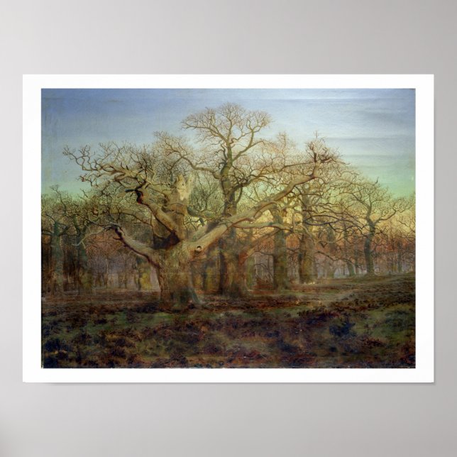 Kant i Sherwood Forest, 1878 Poster (Framsidan)