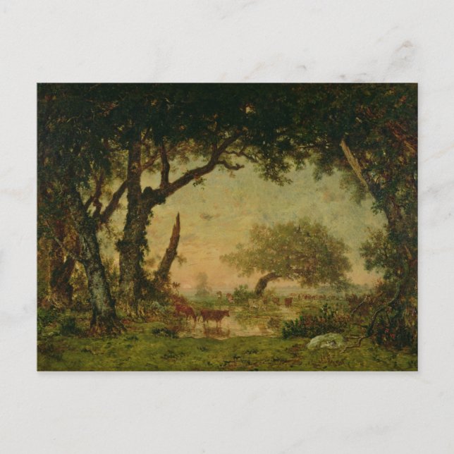 Kant i skogen vid Fontainebleau Vykort (Framsida)