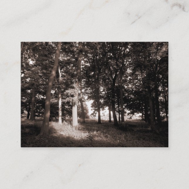 KANT i SKOGEN Visitkort (Framsida)