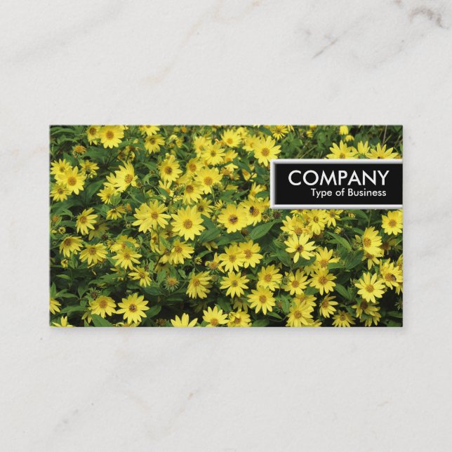 KANT MÄRKRE - DAISY i GULTEN Visitkort (Framsida)