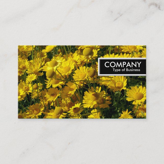 KANT MÄRKRE - DAISY i GULTEN Visitkort (Framsida)
