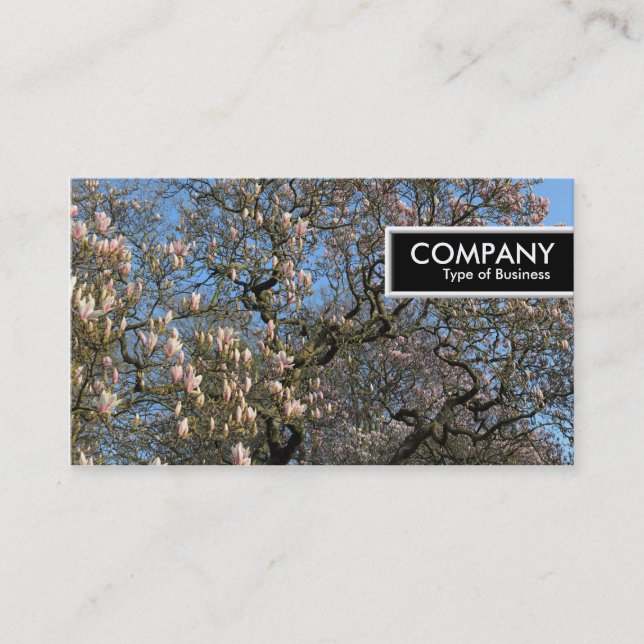 Kant Märkre - Magnolia Träd i Blommar Visitkort (Framsida)