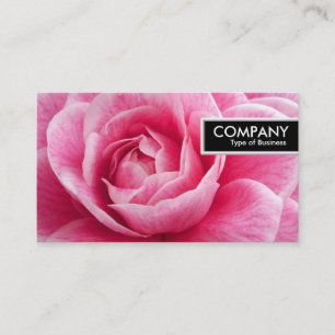 Kant Märkre - Rosa Camelia Visitkort