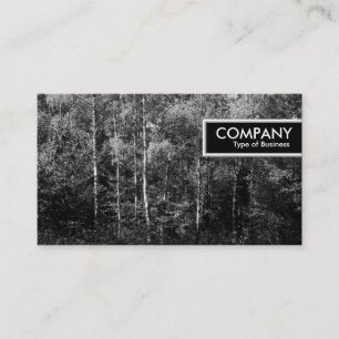 Kant Märkre - Silver Birch Träd B&W Visitkort