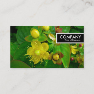 Kant Märkre - St Johns Wort Visitkort
