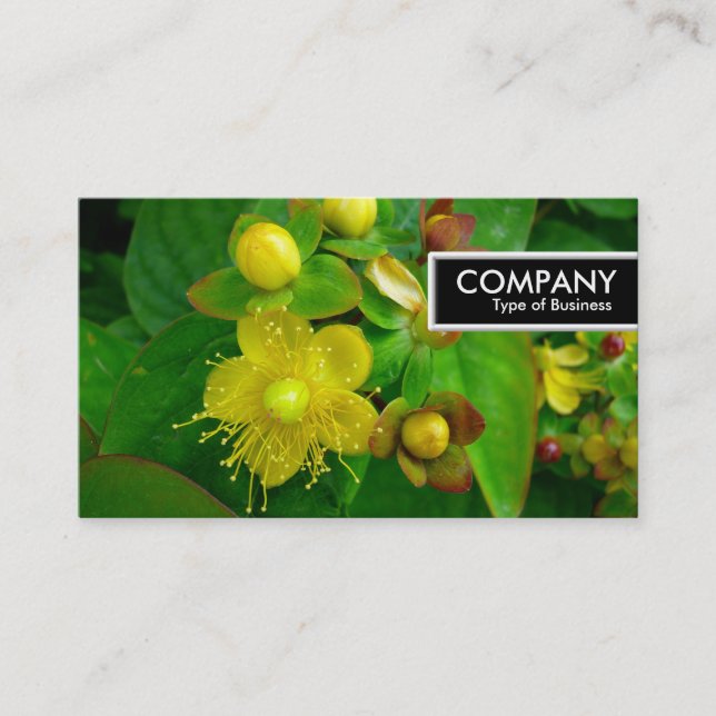 Kant Märkre - St Johns Wort Visitkort (Framsida)