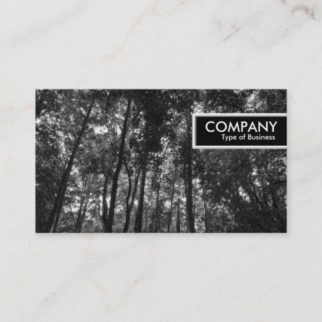 Kant Märkre - Träbeståndet Canopy 02 BW Visitkort (Framsida)