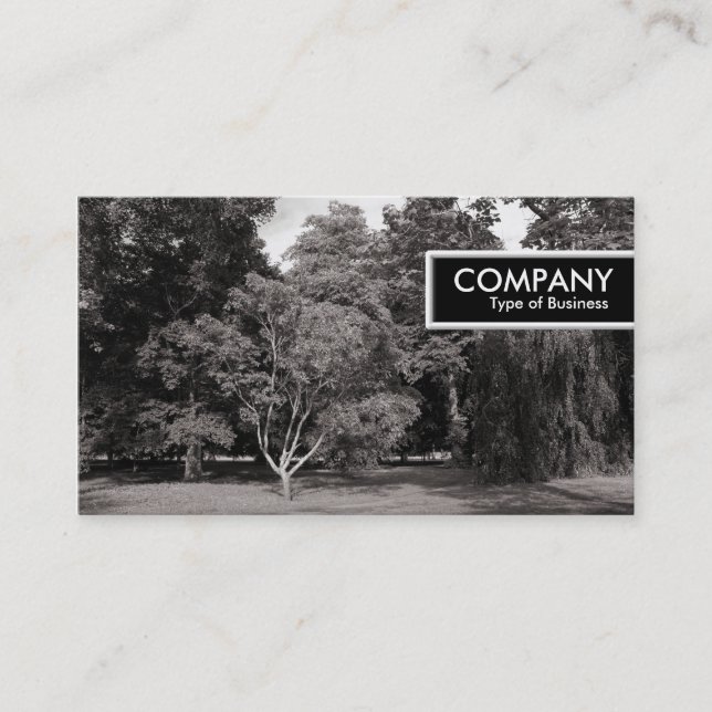 Kant Märkre - Träd, Bute Park, Cardiff - WarmBW Visitkort (Framsida)