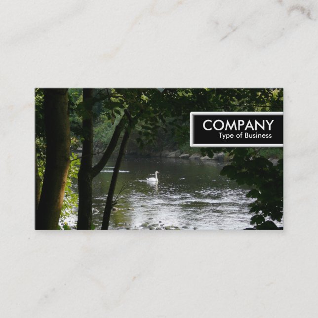 Kant-Märkrn - Svan vid floden Visitkort (Framsida)
