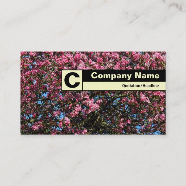 Kant-märkt Monogram - Rosa Cherry Blommar Visitkort (Framsida)