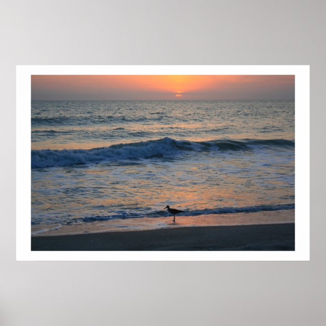 Kant vid solnedgången poster (Framsidan)