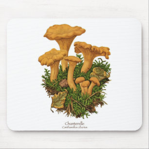 Kantarellchampinjon Mousepad Musmatta