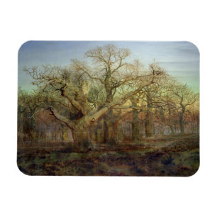 Kanten av den Sherwood skogen, 1878 Magnet