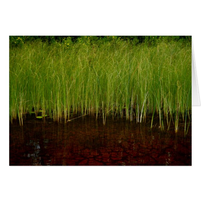 Kantfristaden Hälsningskort (Framsidan Horizontal)