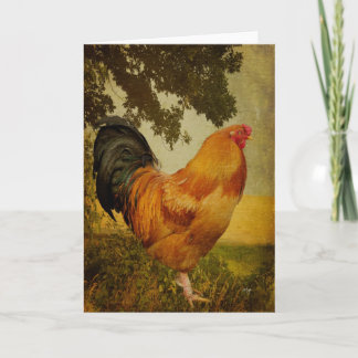 Kanticleer Tupp Blank Greeting Card Kort