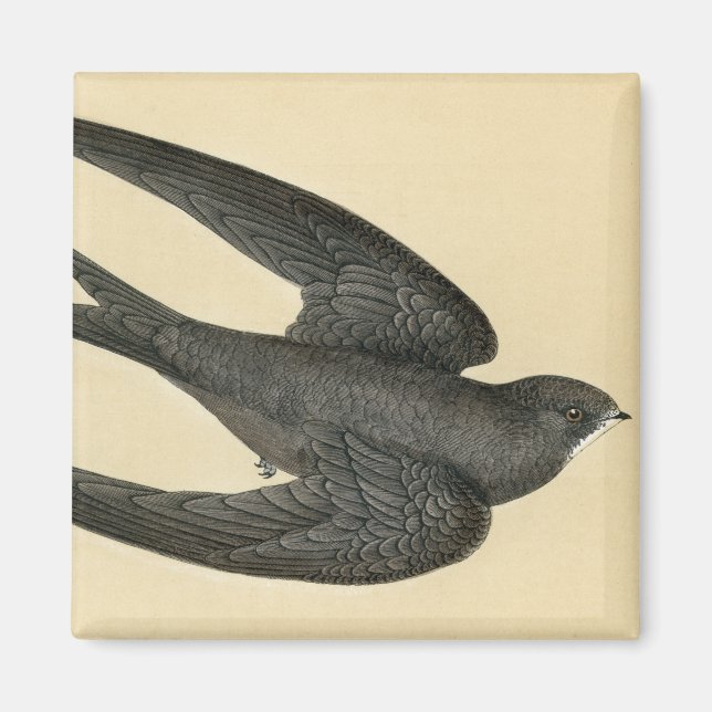 Kantlinjeutskrift av en skift magnet (Framsidan)