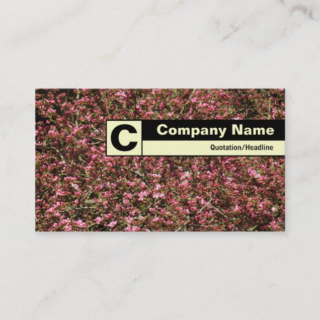 Kantmarkerad monogram - Rosa körsbärsblomma 02 Visitkort (Framsida)