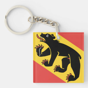 Kantonen Bern flagga Schweiz symbol