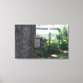 Kanvastryck av ekorre