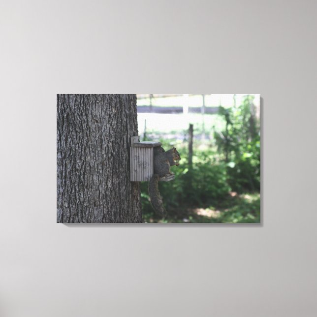 Kanvastryck av ekorre (Framsida)