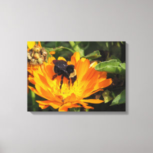 Kanvastryck - Calendula och Bee