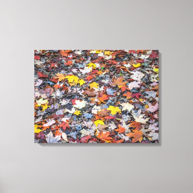 Kanvastryck för färggrandig höst löv-vy (Framsida)
