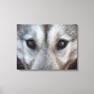 Kanvastryck för Husky Valp Print Husky Varg Valp