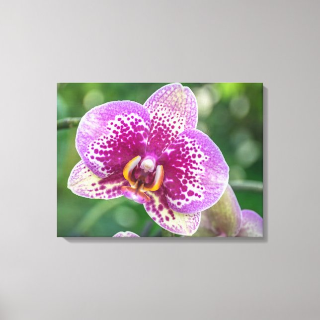 Kanvastryck för stängning av Orchid (Framsida)