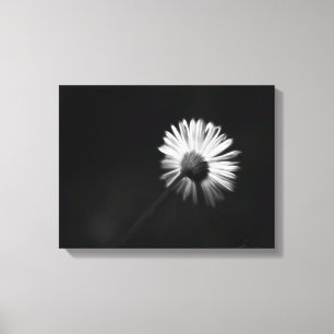kanvastryck för vit daisy