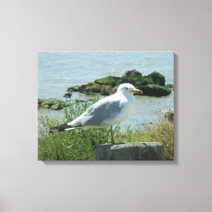 Kanvastryck - Gull på Piling