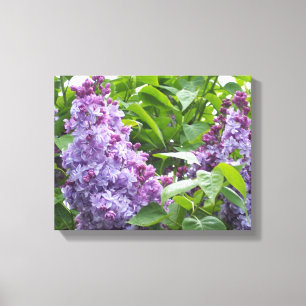 Kanvastryck Lilacs