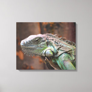 Kanvastryck med färgad Iguana-ödla