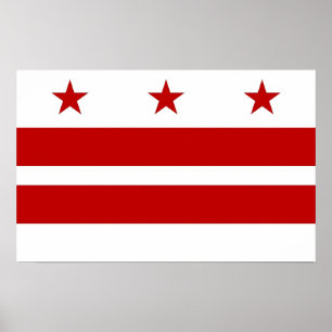 Kanvastryck med Flagga Washington DC, USA Poster