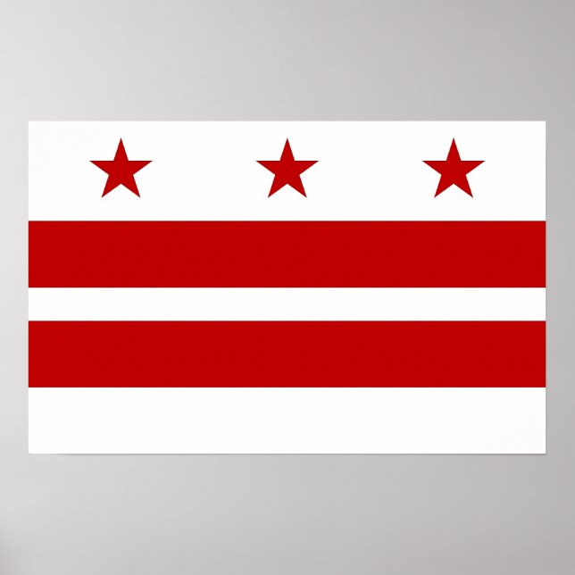 Kanvastryck med Flagga Washington DC, USA Poster (Framsidan)