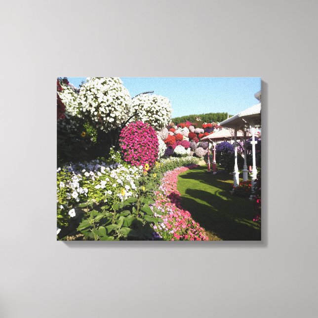 Kanvastryck med Petunias (Framsida)