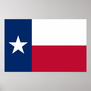 Kanvastryck med Texas Flagga, USA Poster
